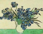 Vincent Van Gogh Vase with Irises France oil painting artist